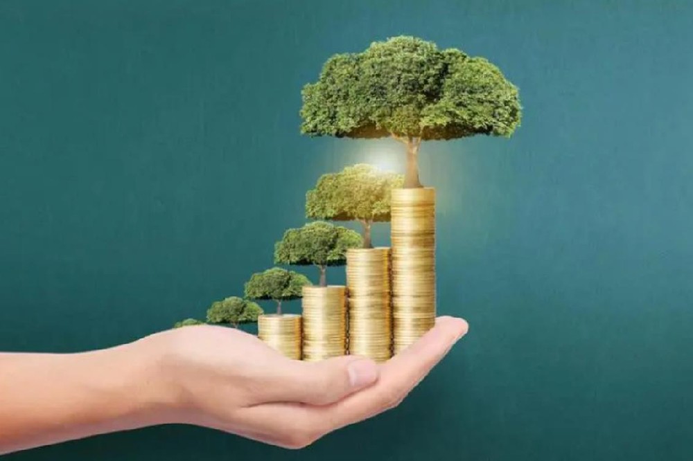 民间个人短借·珠海24小时私人借钱 空放直达 当天放款